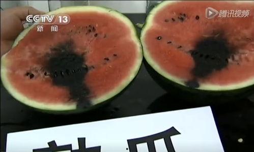 七夕网红吃瓜视频,甜蜜背后隐藏的瓜界风云